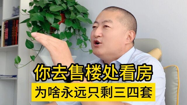 你去售楼处看房,为啥永远只剩三四套?H