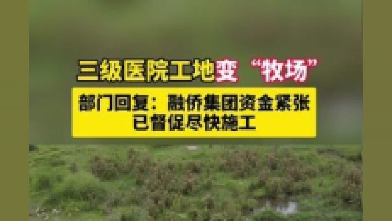 福州高新区一三级医院工地变“牧场”!部门回复:融侨集团资金紧张