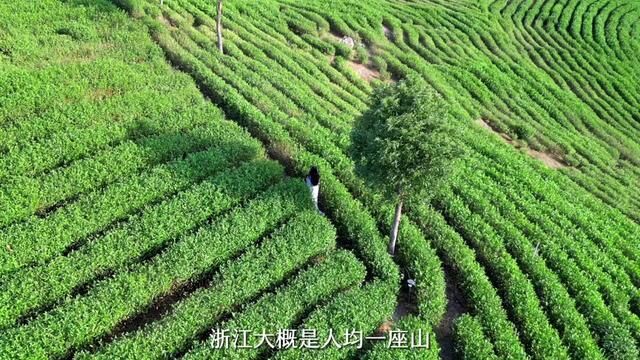 这家酒店真实的还原了“西塞山前白鹭飞”的场景~