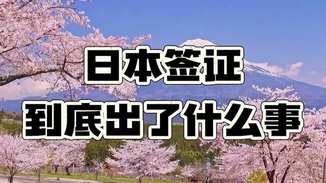 (非正经科普)日本签证到底出了什么事? #粉碎谣言 #日本旅游攻略 #日本签证 #避雷指南