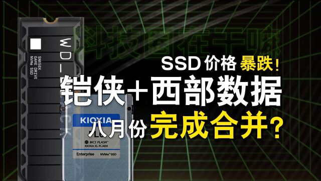 SSD价格暴跌!铠侠、西数8月将完成合并?#SSD #西部数据 #铠侠 #科技