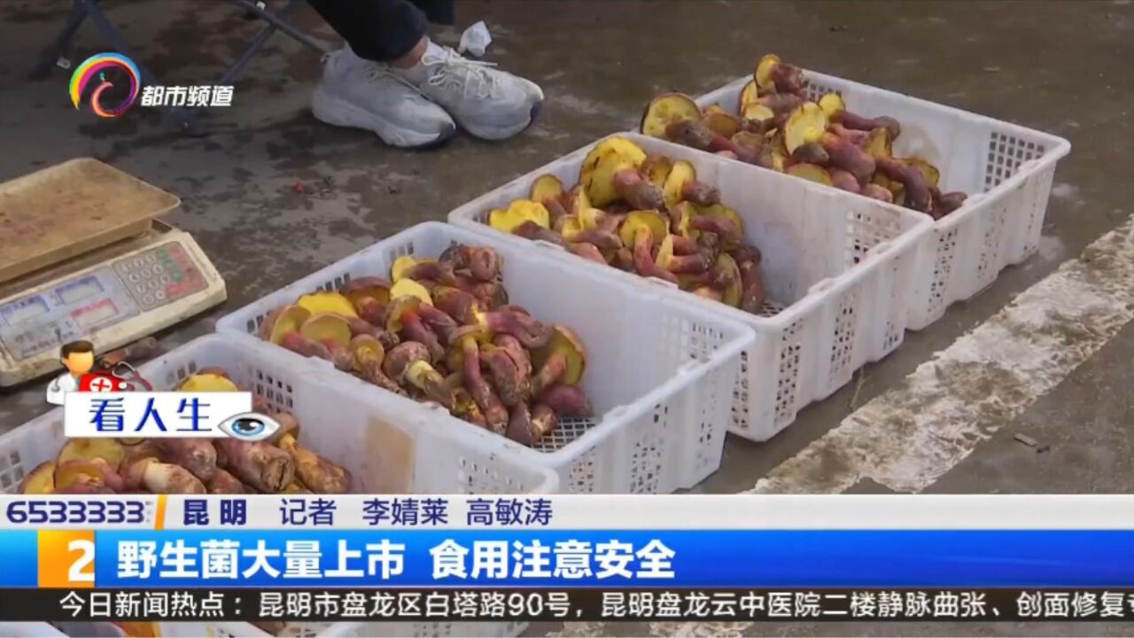 野生菌大量上市 食用注意安全