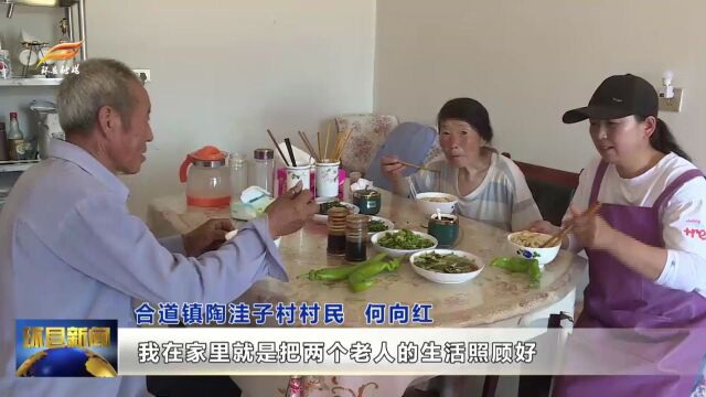 合道镇:“小家庭”助推乡村“大治理”