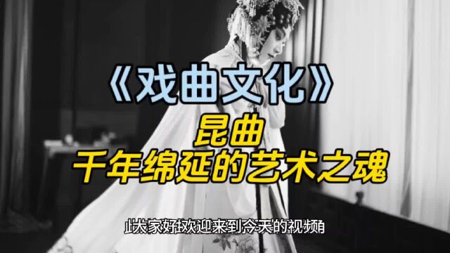 《戏曲文化》 昆曲:千年绵延的艺术之魂