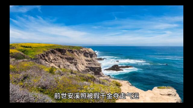 热门新书《惊鹊枝》安溪照(惊鹊枝小说无删减)