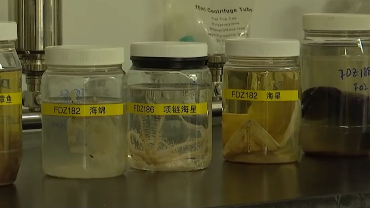 探秘深海重器,全球首个环大洋洲科考生物样品首次公开