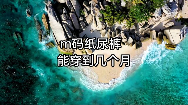 m码纸尿裤能穿到几个月