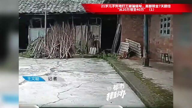 21岁儿子外地打工被骗缅甸,高额赎金7天翻倍,“从20万增至40万”(1)