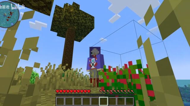 Minceraft1.20.1  荒岛生存〖一〗