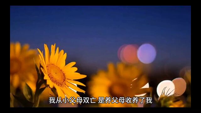 完整版《我死后,未婚夫他疯了》闻楚易衡小说分享