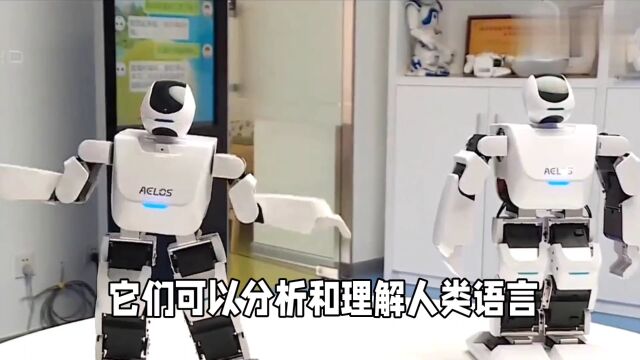 探秘机器思维:一场冷冰冰的逻辑推理之旅