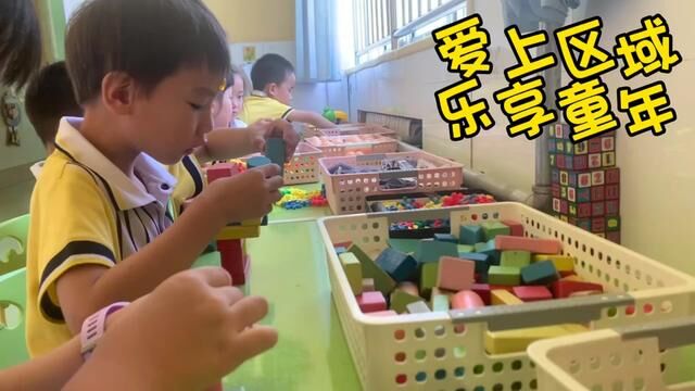 #沂源 区域《爱上区域乐享童年》南麻街道中心幼儿园 张晓莉 王金月审核人吴本纯 发布 唐甜甜 翟斌 #区域爱上区域乐享童年