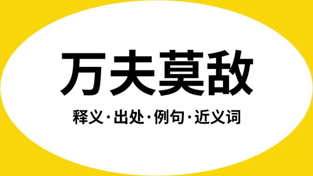 “万夫莫敌”是什么意思?