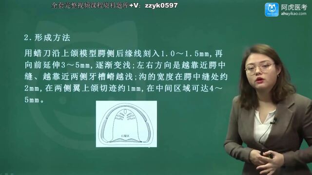 2024年阿虎医考口腔医学技术师中级职称考试完整视频历年真题考点题库培训上岸全口义齿的排牙和蜡型制作