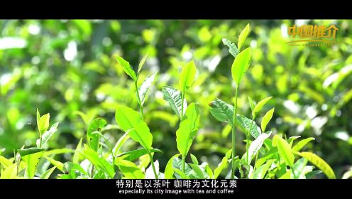 《中国推介》云南思茅区：世界茶源 咖啡之都