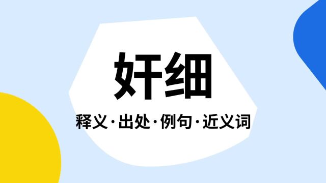 “奸细”是什么意思?