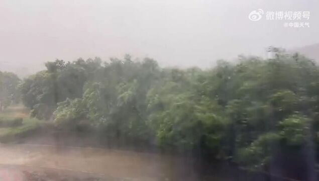 台风来袭!临泉连发预警!雷雨!暴雨!