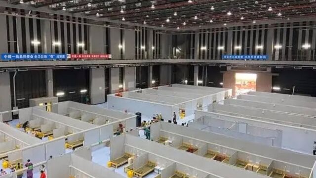 儋州市政府1300万元招标拆除方舱医院,招标单位:价格是专家定的,因为设施很多