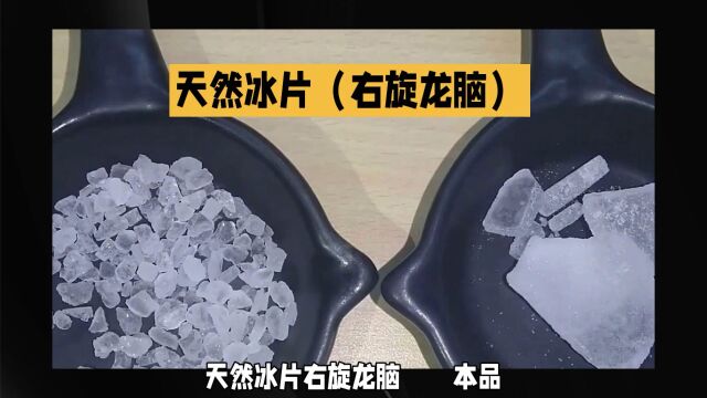 “天然冰片”日常生活小记