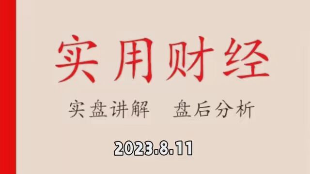 2023.8.11盘后分析,小面,不要恐慌 #市井里的致富经 #超级投资家2023 #看得见的青春