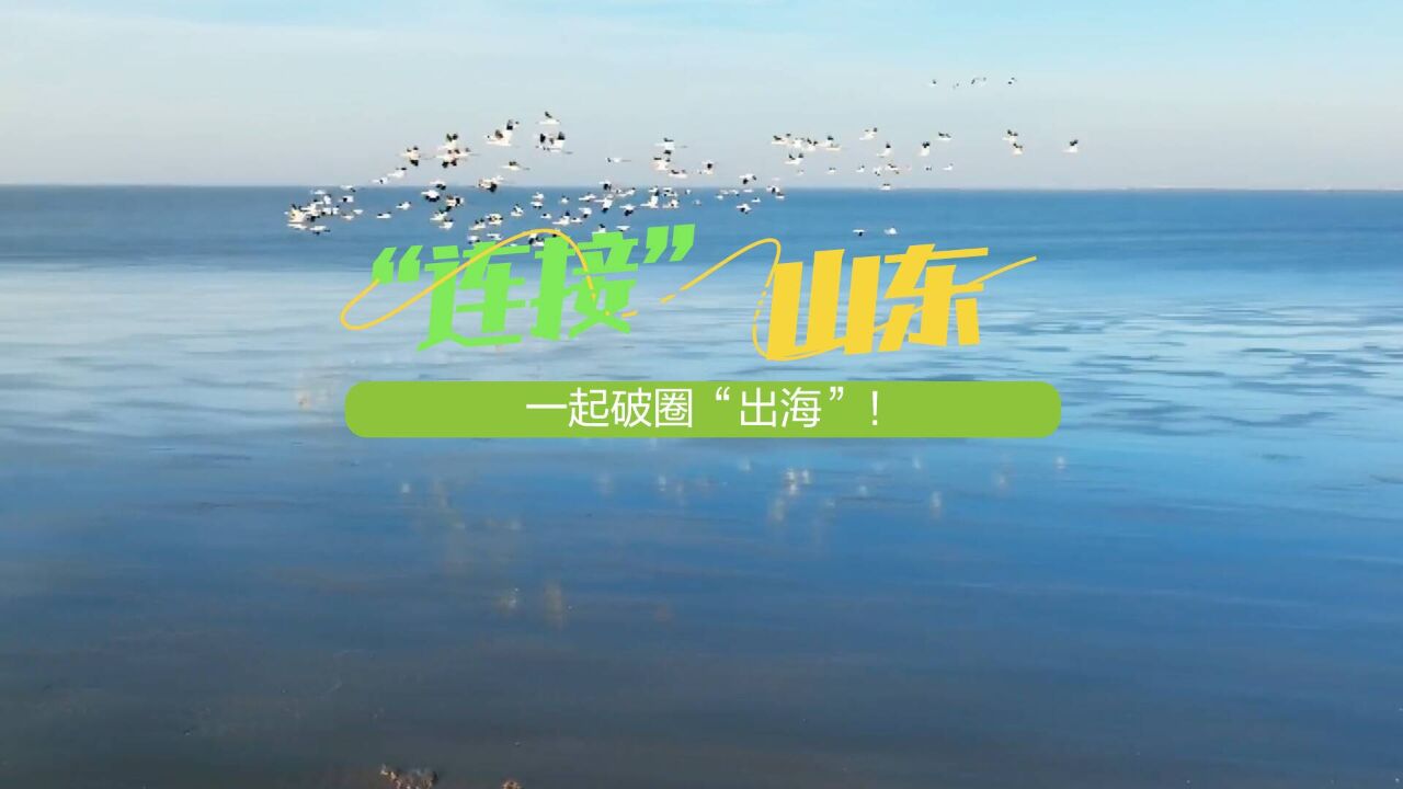 “连接”山东,一起破圈“出海”