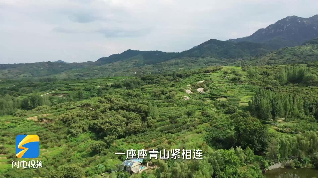 从“石头饭”到“生态饭” 山东首个村级GEP核算村重新定义“靠山吃山”