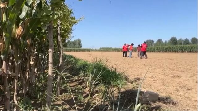 河北涿州全力帮助农业恢复生产 降低灾害损失