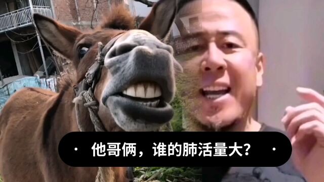 纯属搞笑,别无他意