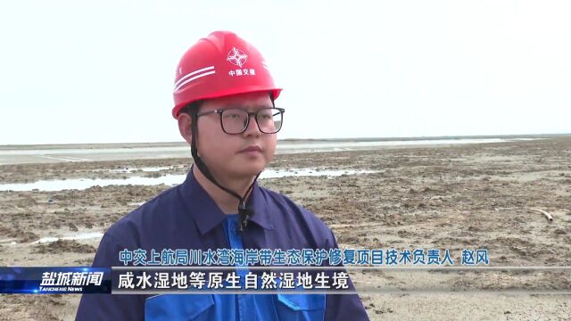 守护湿地 绘就“诗与远方”