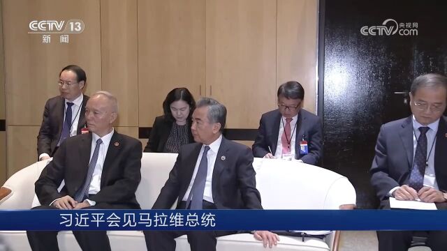 习近平会见马拉维总统