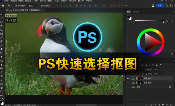 掌握 Photoshop 快速选择工具,实现完美抠图