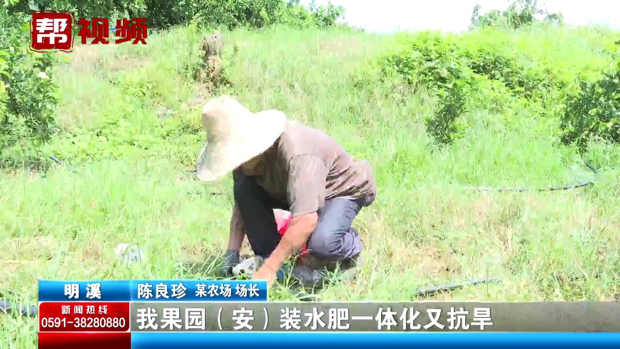 水肥一体化管理!果园安装滴灌设施 农技专家现场指导助力增产