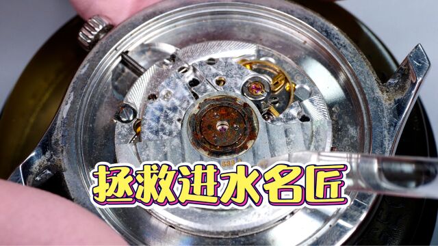 3分钟看完浪琴名匠进水维修全过程