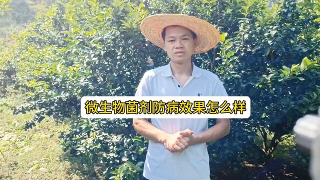 微生物菌剂在种植领域防病治病效果怎么样