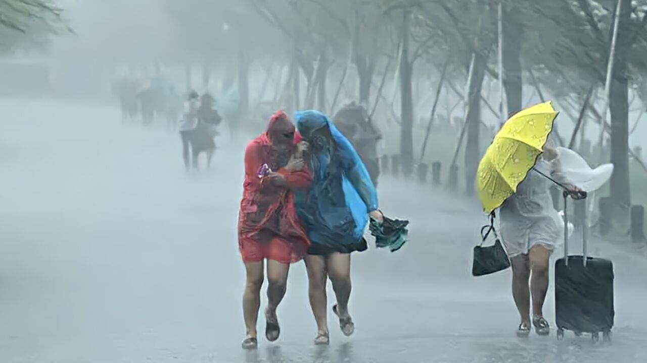 现场!台风苏拉登陆珠海金湾,狂风呼啸树木狂摇