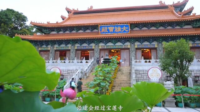 旅行VLOG去香港坐一次浪漫的海上缆车,感受与世隔绝的一面