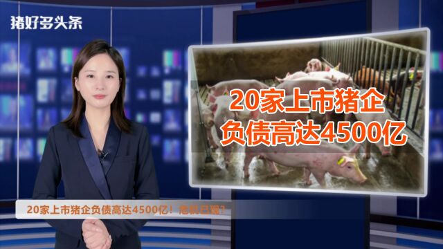 惊雷!20家上市猪企负债高达4500亿!行业扩张危机已现?