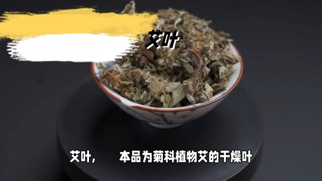 艾叶每天一点中药知识