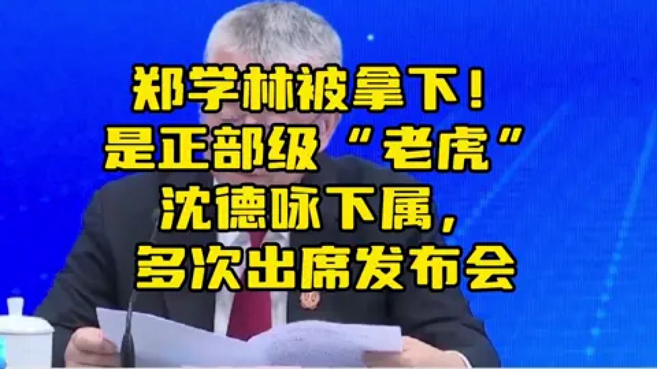 郑学林被拿下!曾是正部级“老虎”沈德咏下属,多次出席发布会介绍情况