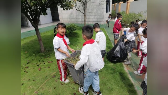 莲塘小学:秋日拔杂草 劳动最开心