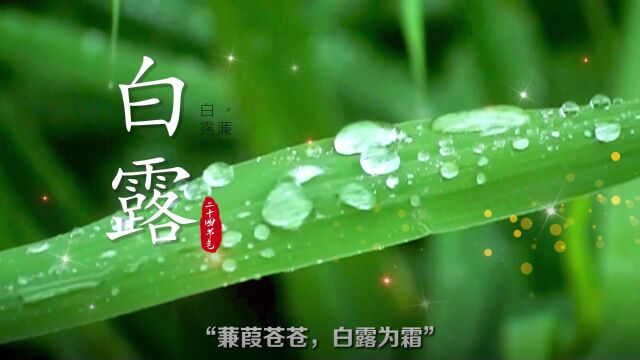 中医谈节气 | 白露:秋风至,护阳养阴时