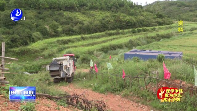 东海坪洋:盘活“沉睡”撂荒地 150亩撂荒地泛起稻浪