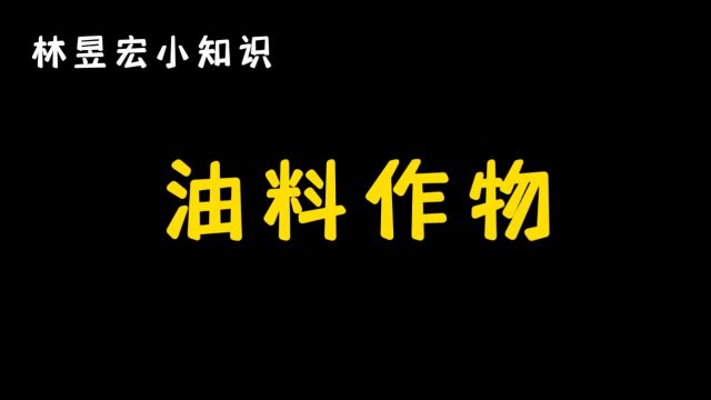 文冠果油:生物柴油的新星,环保与效益的双赢选择