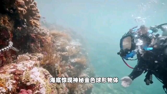 海底惊现神秘金色球形物体,科学家们的猜测引发热议