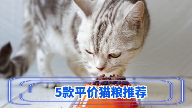 5款平价猫粮推荐,每款品质都在线!