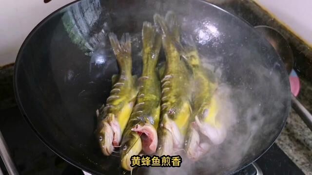 米饭杀手菜“黄蜂鱼焖豆腐”!鲜香嫩滑巨开胃,配上米饭嘎嘎香 #黄蜂鱼焖豆腐