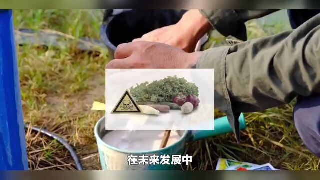 中国生物农药行业市场现状及未来发展趋势