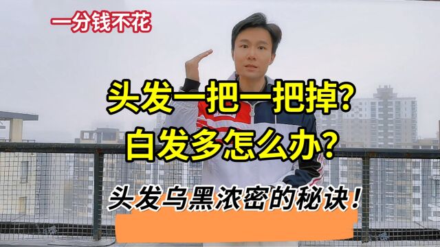 头发黑又亮的秘诀,洗头试试这1招,让你70也能拥有乌黑秀发