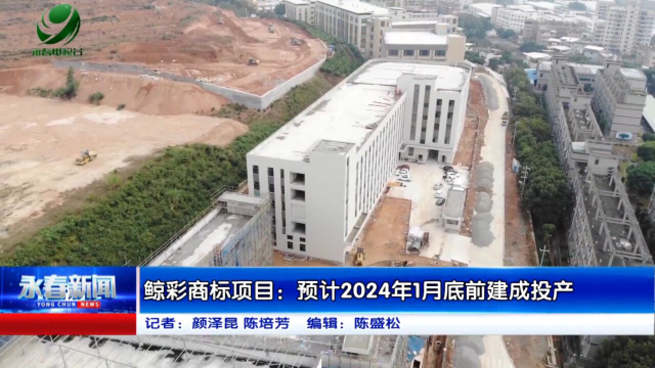 鲸彩商标项目:预计2024年1月底前建成投产