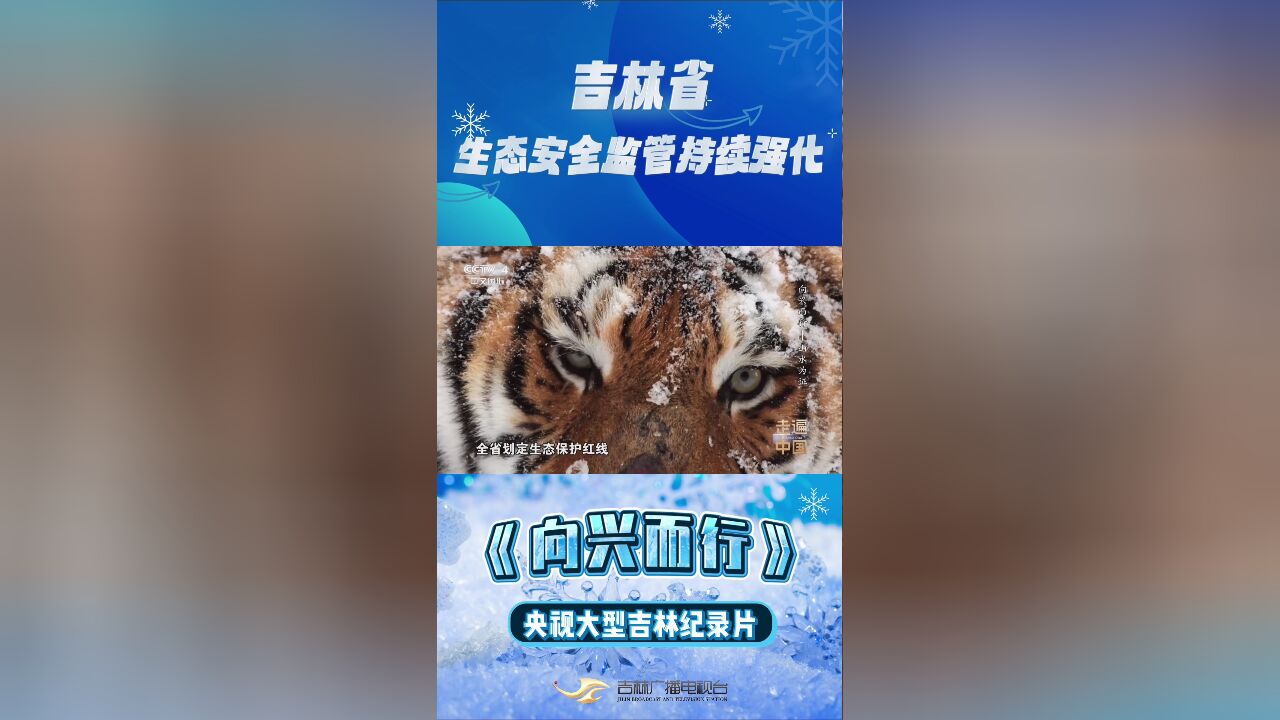 央视大型吉林纪录片《向兴而行》丨吉林省生态安全监管持续强化